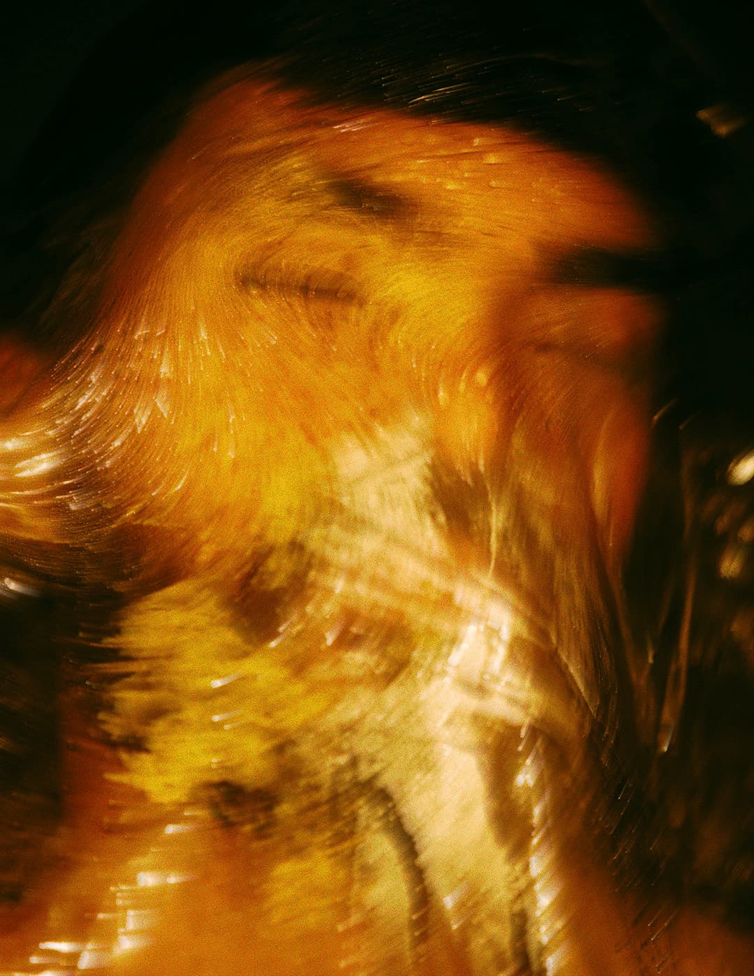 Entre Uns e Zeros, Marco Vincit Entre Uns e Zeros - Marco Vincit