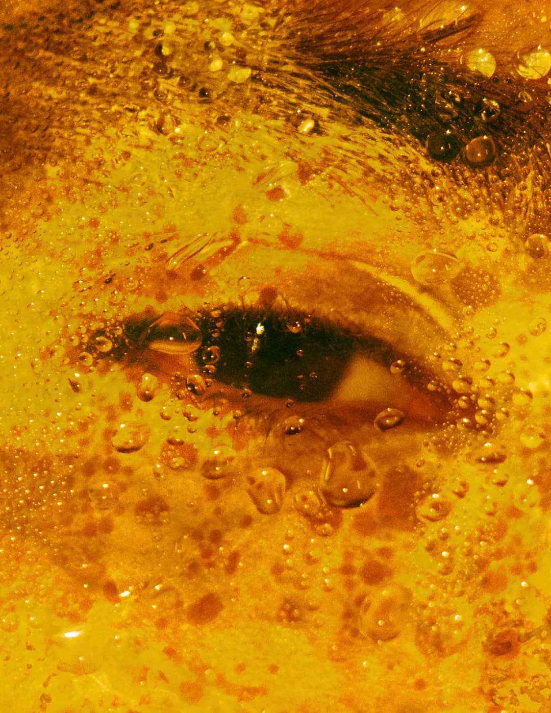 Entre Uns e Zeros, Marco Vincit Entre Uns e Zeros - Marco Vincit