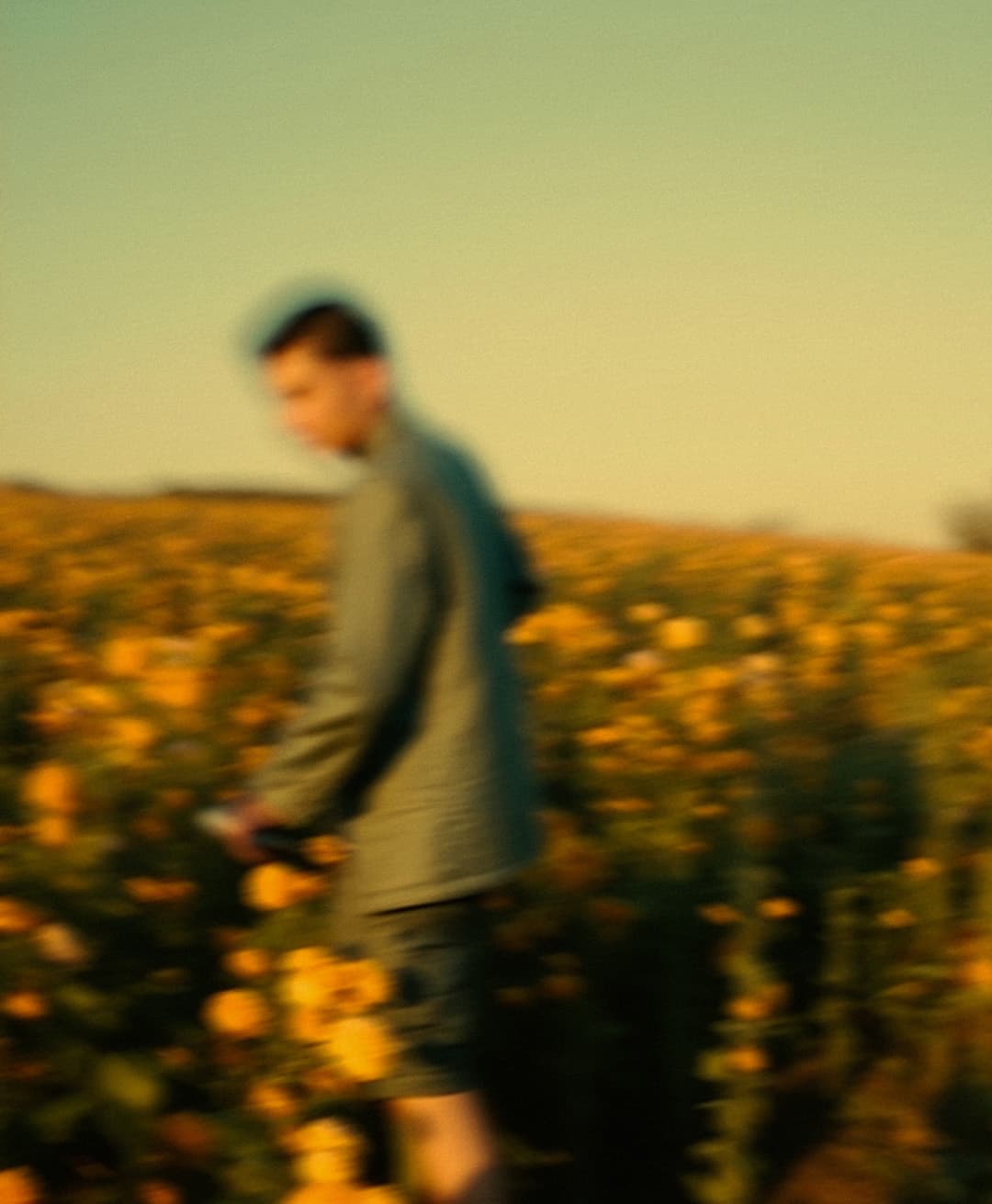 Marco Vincit, Marco Vincit Rosas Amarelas - Visão Borrada, Ensaio Fotografico