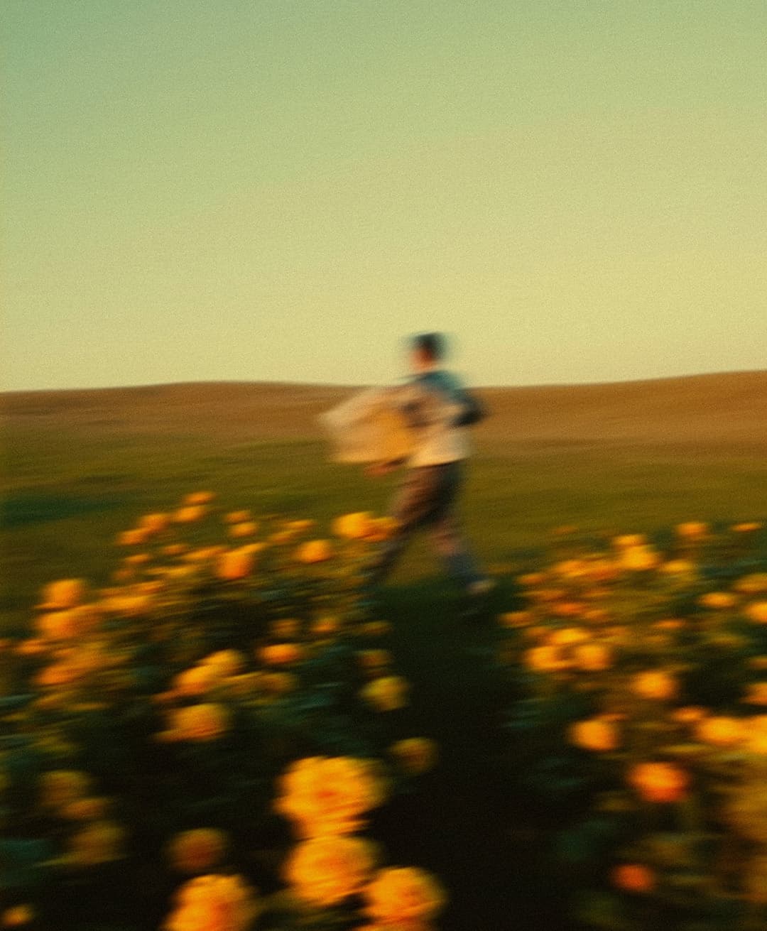 Marco Vincit, Marco Vincit Rosas Amarelas - Visão Borrada, Ensaio Fotografico