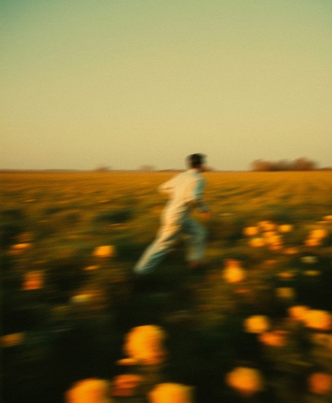 Marco Vincit, Marco Vincit Rosas Amarelas - Visão Borrada, Ensaio Fotografico