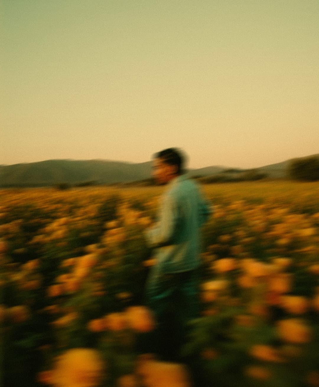 Marco Vincit, Marco Vincit Rosas Amarelas - Visão Borrada, Ensaio Fotografico