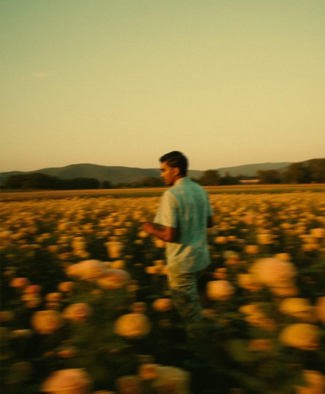 Marco Vincit, Marco Vincit Rosas Amarelas - Visão Borrada, Ensaio Fotografico
