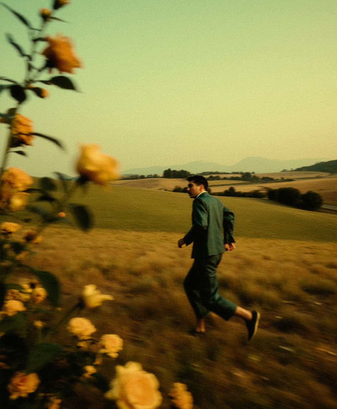 Marco Vincit, Marco Vincit Rosas Amarelas - Visão Borrada, Ensaio Fotografico