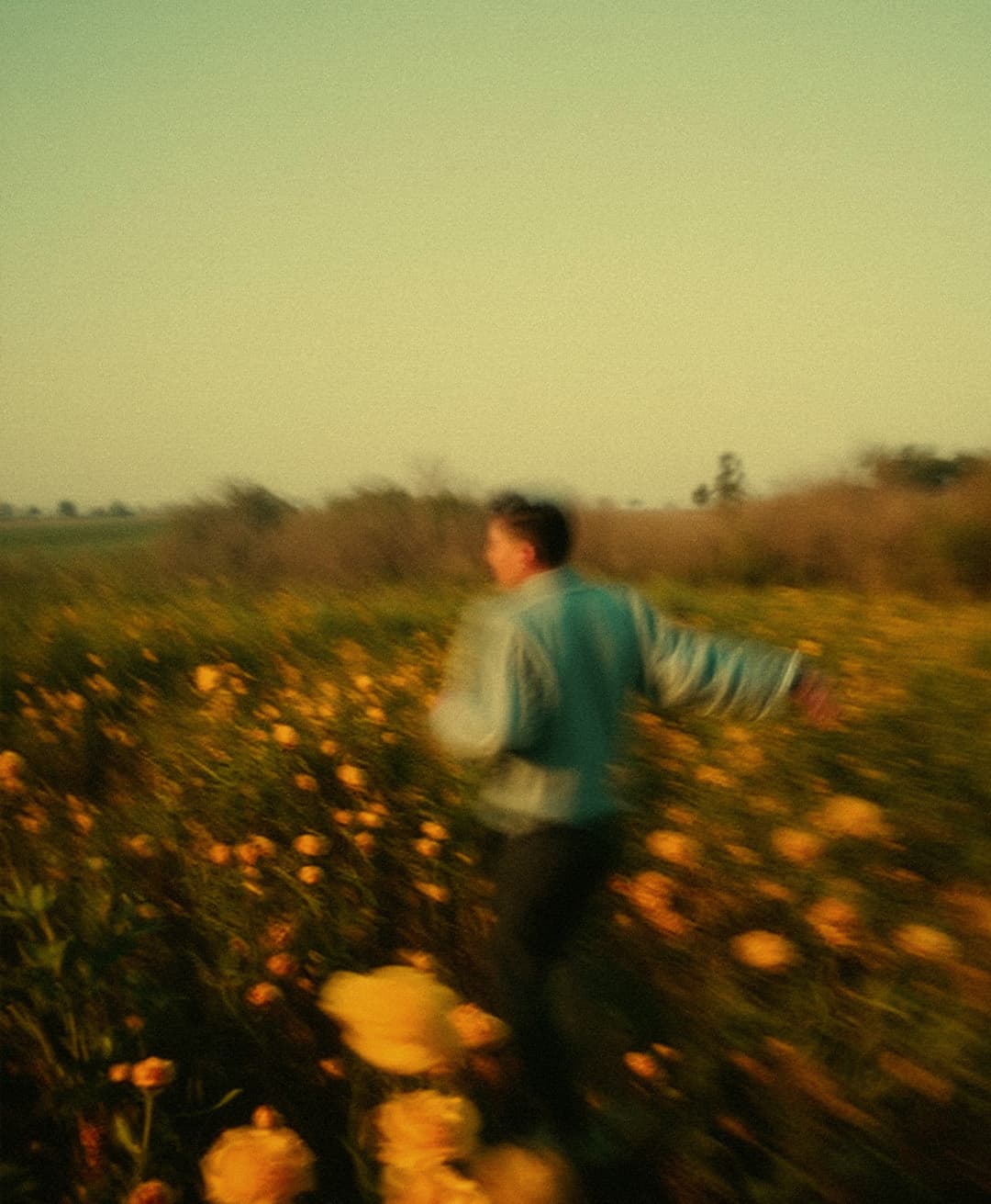 Marco Vincit, Marco Vincit Rosas Amarelas - Visão Borrada, Ensaio Fotografico