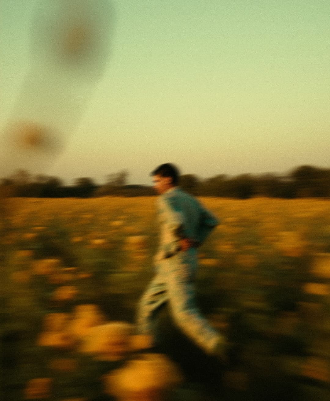 Marco Vincit, Marco Vincit Rosas Amarelas - Visão Borrada, Ensaio Fotografico