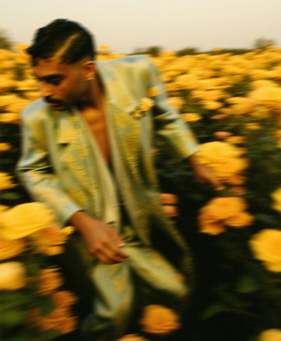 Marco Vincit, Marco Vincit Rosas Amarelas - Visão Borrada, Ensaio Fotografico