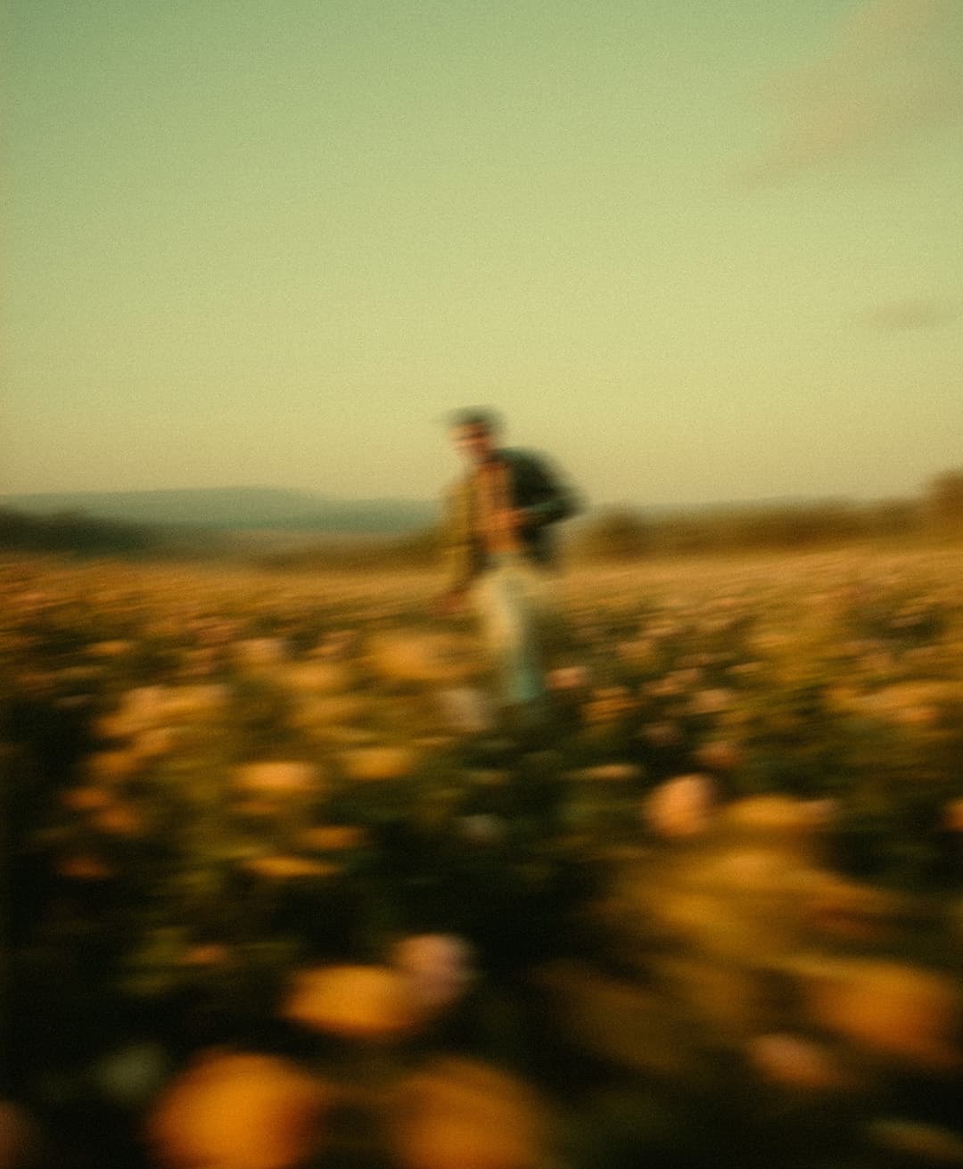 Marco Vincit, Marco Vincit Rosas Amarelas - Visão Borrada, Ensaio Fotografico