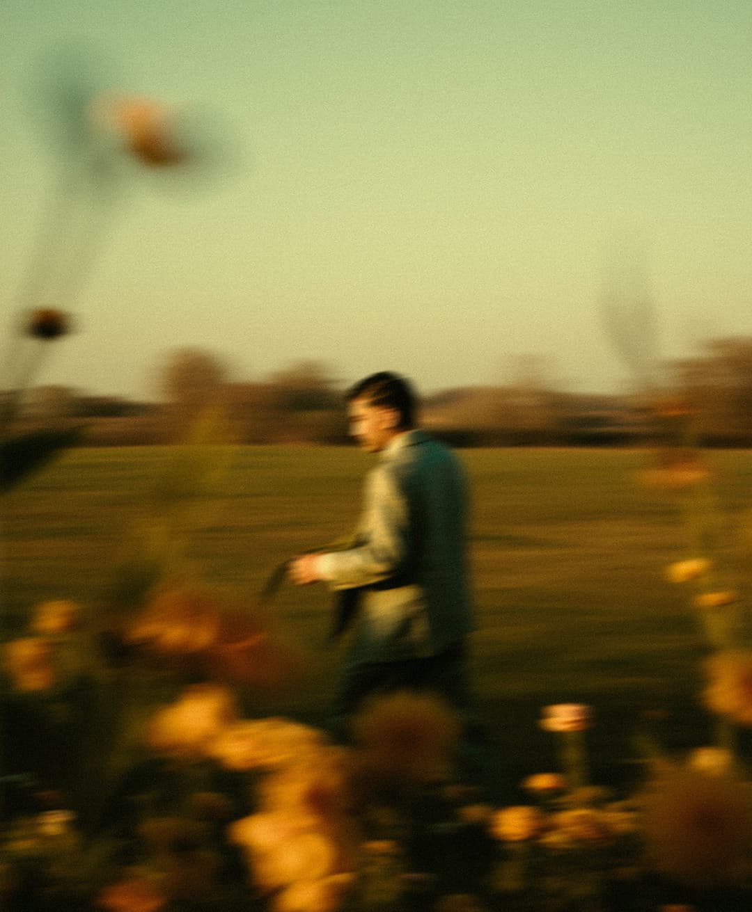 Marco Vincit, Marco Vincit Rosas Amarelas - Visão Borrada, Ensaio Fotografico