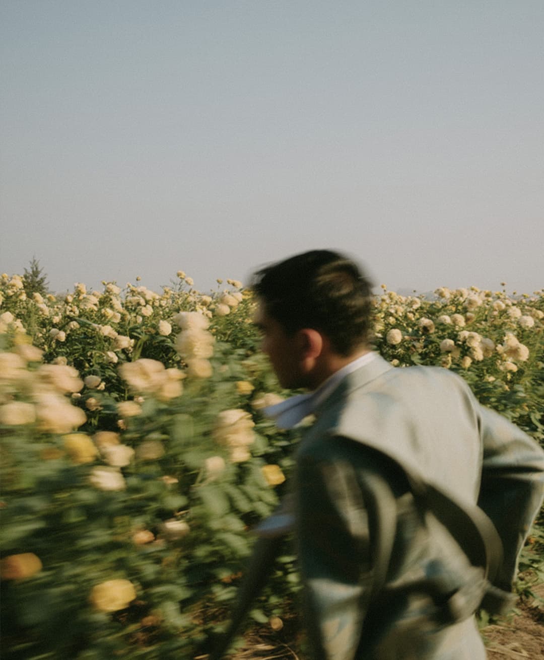 Marco Vincit, Marco Vincit Rosas Amarelas - Visão Borrada, Ensaio Fotografico