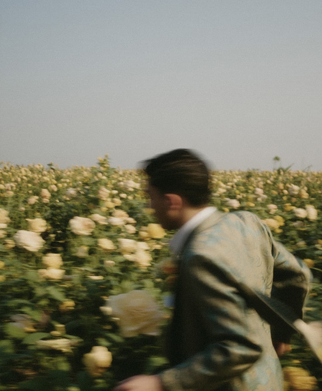 Marco Vincit, Marco Vincit Rosas Amarelas - Visão Borrada, Ensaio Fotografico