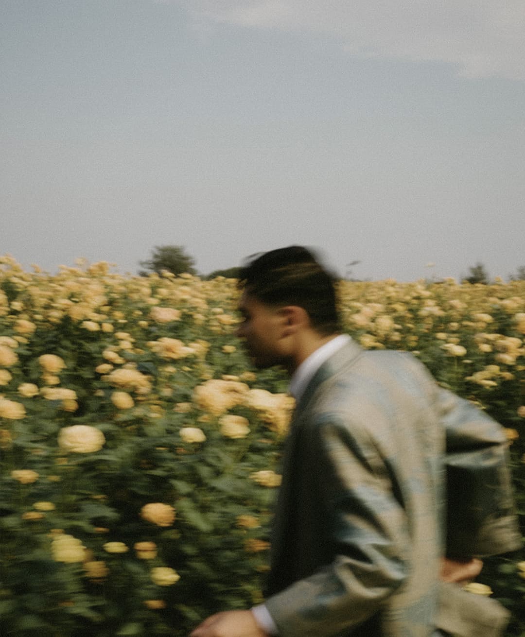 Marco Vincit, Marco Vincit Rosas Amarelas - Visão Borrada, Ensaio Fotografico