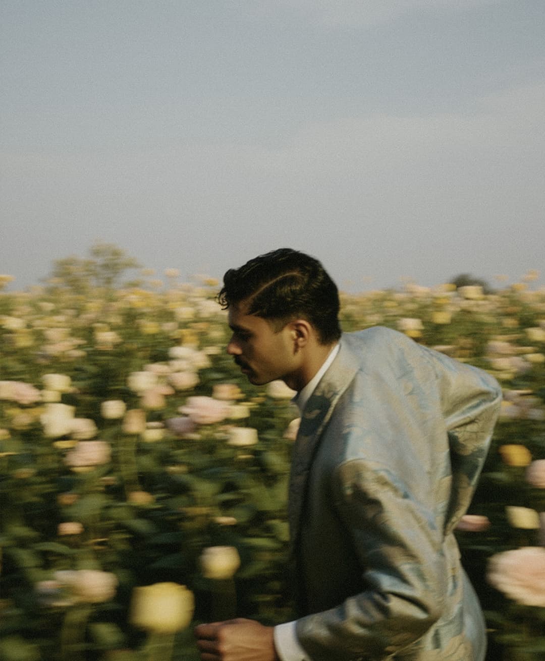 Marco Vincit, Marco Vincit Rosas Amarelas - Visão Borrada, Ensaio Fotografico