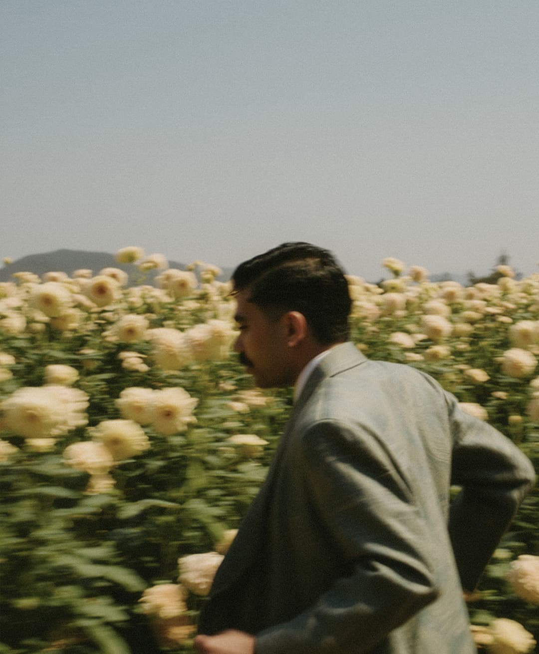 Marco Vincit, Marco Vincit Rosas Amarelas - Visão Borrada, Ensaio Fotografico